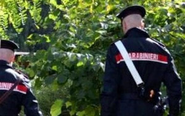 Sesto calende spaccio droga