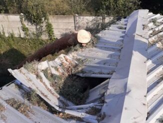 canegrate lavori danni maltempo