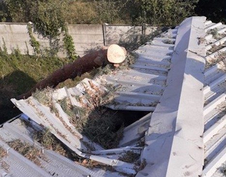 canegrate lavori danni maltempo