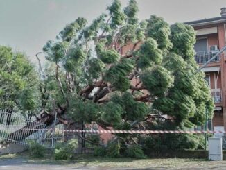 milano abbiategrasso maltempo vigilidelfuoco