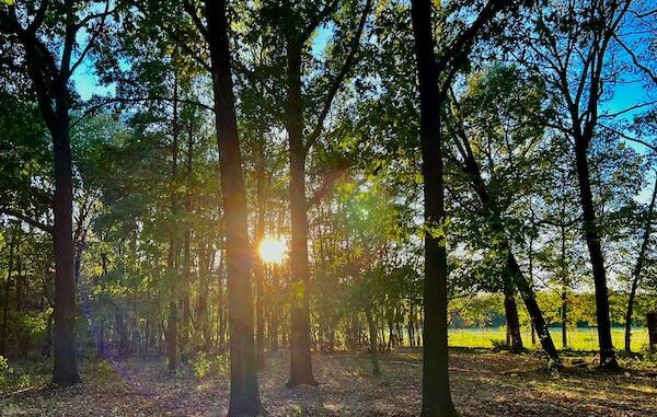 magnago parco roggie ticino