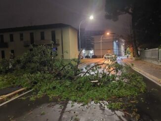 canegrate milano maltempo vigilidelfuoco