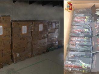 Malpensa sequestrati petardi cobra