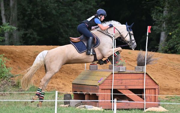Greta enfi europei pony