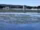 Sesto lago maggiore alghe