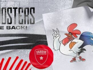 Varese Roosters settore giovanile