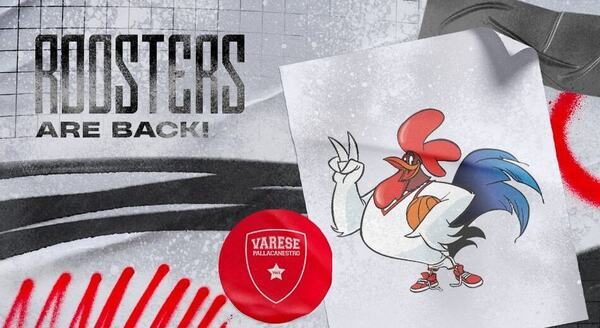 Varese Roosters settore giovanile