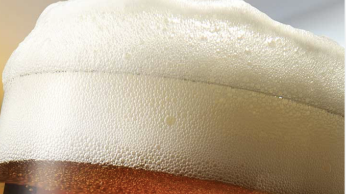 cunardo beer festival