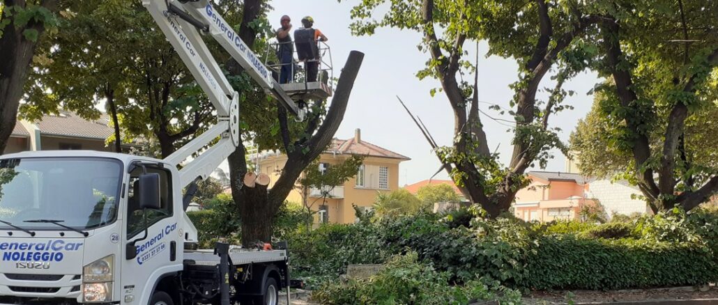 cassano tigli piazza 25 aprile