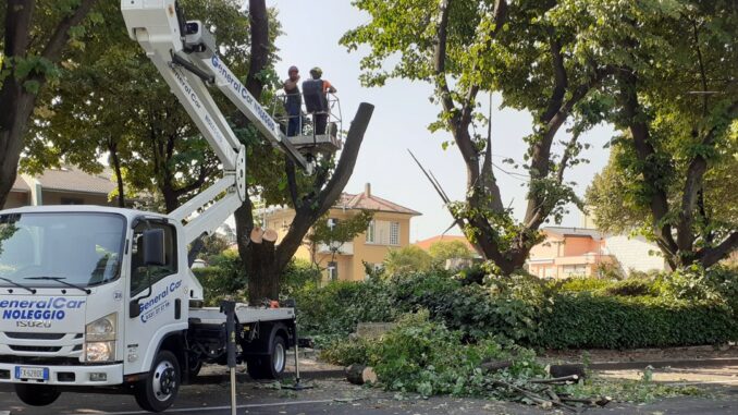 cassano tigli piazza 25 aprile
