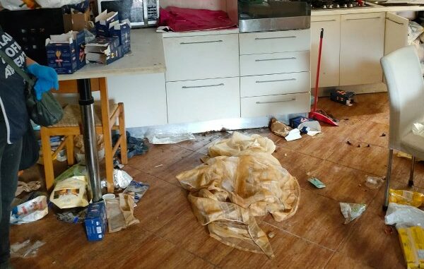 animalisti luino cane morto