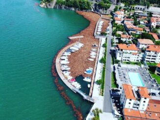 lago maggiore legname porti