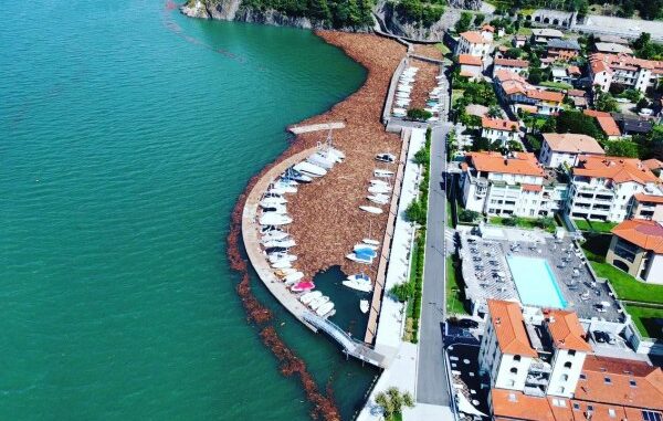 lago maggiore legname porti