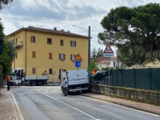 luino cade pianta traffico bloccato