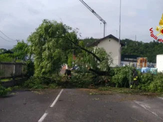 maltempo regione assessore