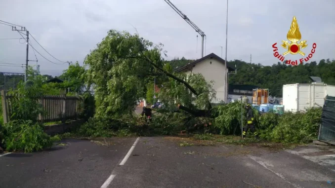 maltempo regione assessore