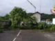 maltempo regione assessore