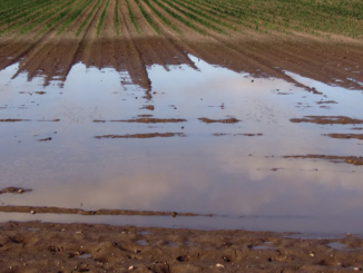 maltempo agricoltura varese