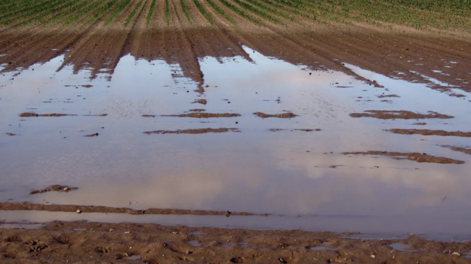 maltempo agricoltura varese