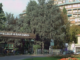 saronno ospedale asst