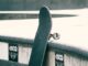 Lonate Pozzolo skate park