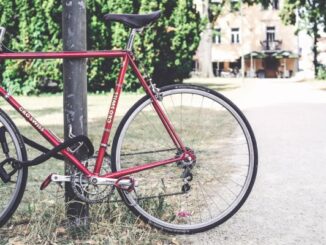 rubano biciclette arrestati varesini