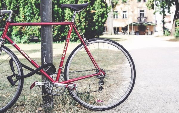 rubano biciclette arrestati varesini