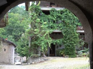 sapori contadini brinzio