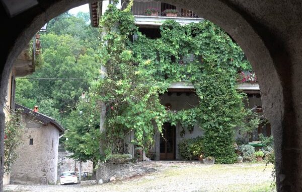 sapori contadini brinzio