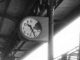 strage lonate bologna
