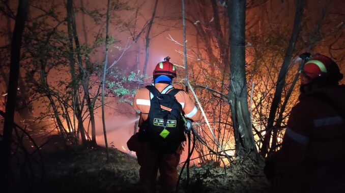 coav antincendio boschivo