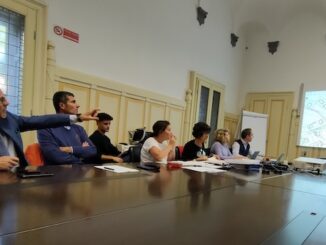 Gallarate strade Crenna azalee