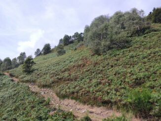 Monte Pian Bello