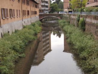 gallarate torrente arno legambiente