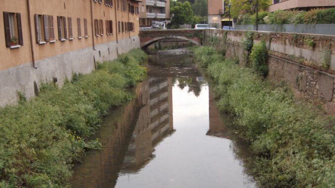 gallarate torrente arno legambiente