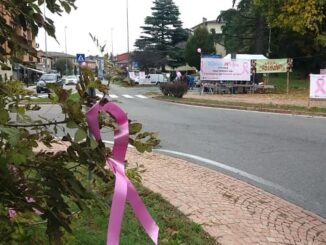 azzate valbossa rosa visite 01