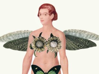 besano mostra spose darwin 02