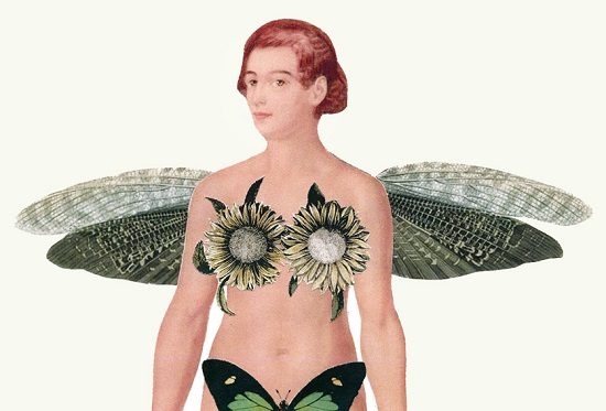 besano mostra spose darwin 02