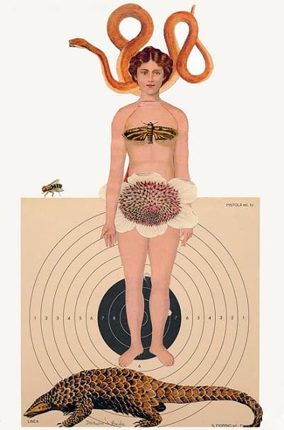 besano-mostra-spose-darwin-05
