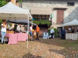 brinzio sapori contadini
