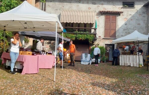 brinzio sapori contadini