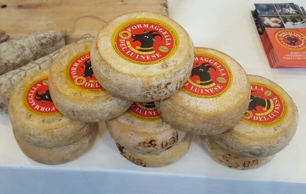formaggio varese cheese bra