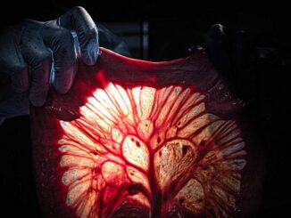insubria mostra anatomia fotografica 01