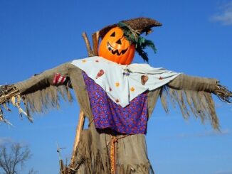 olgiate sagra zucca spaventapasseri 01
