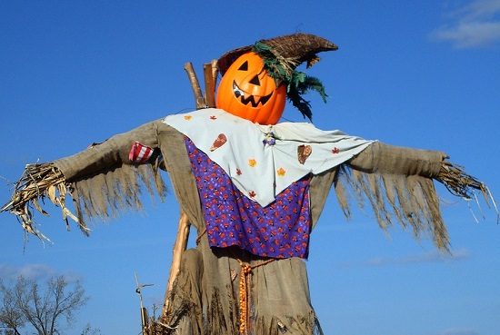olgiate sagra zucca spaventapasseri 01