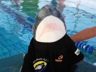 solbiate solbiatese nuoto