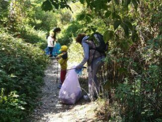 puliamo il mondo castellanza giovani