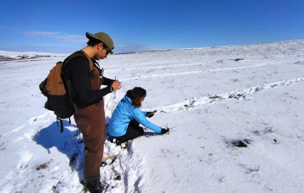 studenti insubria ricerca alaska