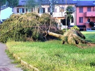 abbiategrasso maltempo traffico limitazioni