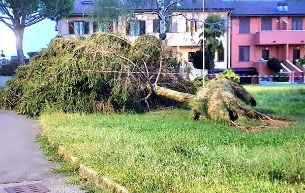 abbiategrasso maltempo traffico limitazioni